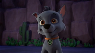 Paw Patrol - Pups vs. Quchy Paw