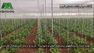نصب شید سفید گلخانه در فارس | 09177587632 سایه‌اندازی گوجه، خیار و فلفل