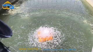 استخر پرورش ماهی در خدمت گردشگری شیلاتی