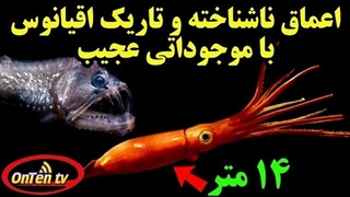 بشرهنوز 95% اعماق اقیانوسها را نمیشناسد، دنیایی تاریک و مرموز با موجوداتی عجیب