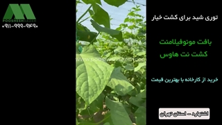 پوشش نت هاوس خیار با توری شید مونوفیلامنت | 09119999490 خرید مستقیم از کارخانه