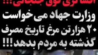 جنایت مرغی #پوزیده