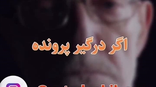 استاد وکیل: پرونده‌تون توی دادگاهه و نمی‌دونید قدم بعدی چیه؟