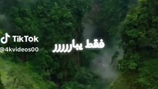 به من بدبخت بی نوا رای بدین کپ