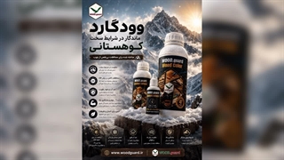 رنگ چوب وودگارد WOOD.guard ؛ راهکار حرفه‌ای برای نمای ترمو و لمبه روسی
