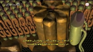 مستند خوب «پرونده ای برای یک آفریدگار »