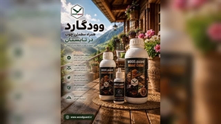رنگ چوب وودگارد WOOD.guard ؛ حفظ بافت و رنگ طبیعی لمبه چوب روسی