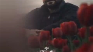 شهدای نفس