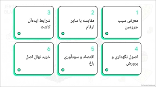 راهنمای جامع نهال سیب جرومین