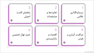 بررسی خرید و شرایط کاشت نهال سیب رد دلیشز