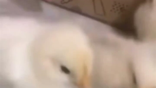 hey yo what up bro :D meme