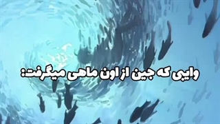 بچه ها هرموقع خواستین بیاین چنلم بسم الله بگین جن داره اینجا-