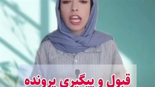 استاد وکیل: پرونده واقعی به خاطر یک کامنت اینستاگرامی احضار شد چه جرمی مرتکب شده بود؟