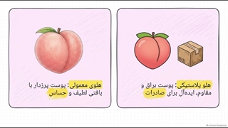 بررسی شرایط کاشت و نگهداری نهال هلو زعفرانی زودرس