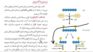 جمع بندی زیست حضوری و آنلاین  #رمزیست  .برای مشاوره و ثبت نام کلاس های زیست پیامک  به شماره 09149285452
