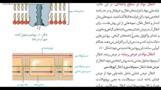 معجزه تست زنی استاد غیاثی ترکیبی و رمزیست  #آموزش  زیست #استادغیاثی #بصورت کاملا مفهومی.. #روش های   حضوری و آنلاین  #رمزیست