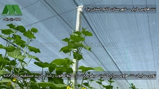 توری شید خاتم برای نت هاوس خیار و صیفی جات | 09130365864 ارسال مستقیم کارخانه