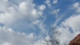 سفر یک روزه به روستای زرین دشت. سیمین دشت گرمسار گردوچینی
