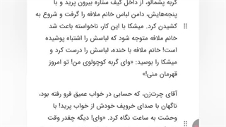 خانواده خوابالوها ۳ قسمت هفتم فصل سوم : غافلگیری بزرگ!