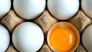 تولید تخم مرغ‌های غنی شده در یک دهه آینده