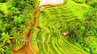 تصنیف حکایت بلبل، خواننده و آهنگساز، رضاکاکولوند، شعر از حافظ شیرازی، در   مایه ی سه گاه