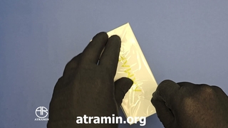 آنباکسینگ عطر  آرماف سنتاسی ماچا مجیکس در عطرآمین