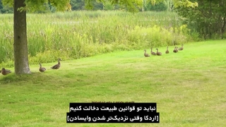 قسمت 6 ران بی‌تی‌اس در تورنتو با زیرنویس فارسی چسبیده