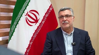 وزیر بهداشت: باید ببینیم تدوین و نظارت‌های استاندارد با اجرا چقدر فاصله دارد