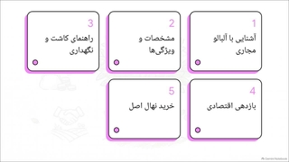 معرفی کامل نهال آلبالو مجاری+ بررسی شرایط کاشت