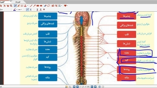 آموزش و حل تست 09149285452  زیست استاد غیاثی  @zisttestghiassi