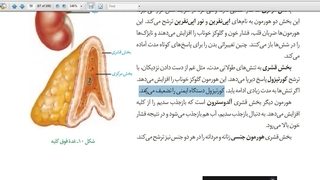 آموزش و حل تست 09149285452  زیست استاد غیاثی  @zisttestghiassi