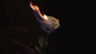 یک روز نبودم؛ به خودم اومدم دیدم فراموش شدم....