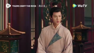 اسپویل قسمت 9,10 سریال چینی ببرها و رایحه رز،Tigers sniff the rose