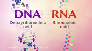 DNA و RNA چه هستند؟