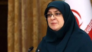 مهاجرانی: واردات خودرو توسط ایرانیان خارج از کشور با دستور رئیس‌جمهور موقتاً متوقف شد