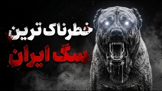 سگ سرابی یکی از وحشی ترین سگ های نگهبان ایرانی